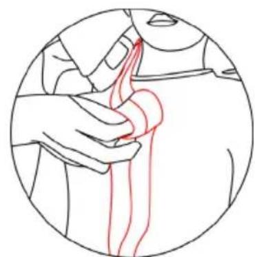 Baninni Ventura - Warning: - 19