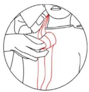 Baninni Ventura - Attention! - 2