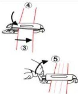 Baninni Ventura - Attention! - 5