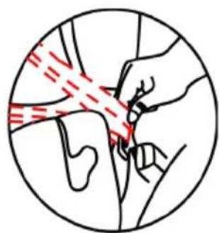 Baninni Ventura - Warning: - 3