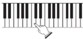CASIO CTX800 - Essayez de journer quelque chose sur le clavier. Utilisez 2 VOLUME pour regler le volume. - 1