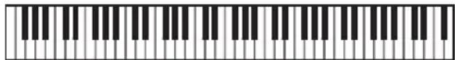 CASIO CTX800 - UPPER 1 - 1