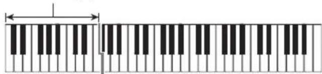 CASIO CTX800 - ■FINGERED - 1