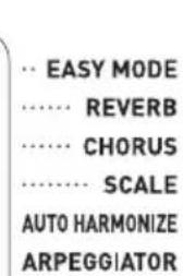 CASIO CTX800 - Utilisation du chorus - 1