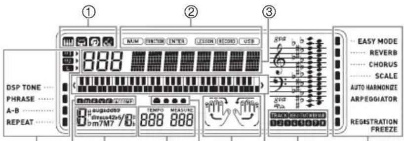 CASIO CTX800 - ■Afficheur - 1