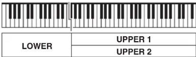 CASIO CTX800 - UPPER 2 - 2