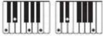 CASIO CTX700 - Accords FINGERED 1, FINGERED 2 - 11