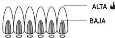 CHAR BROIL 463276517 - Control de la llama del quemador - 1