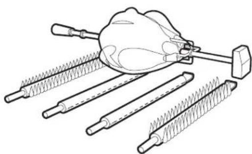 CHAR BROIL 463277017 - Para cocinar en asador - 1