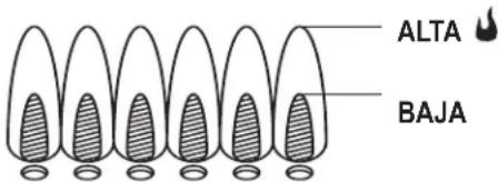 CHAR BROIL 463277017 - Control de la llama del quemador - 1