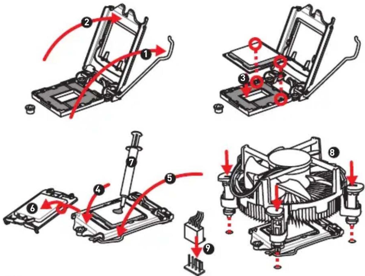 MSI B250M PROVDH - Socket processeur - 1