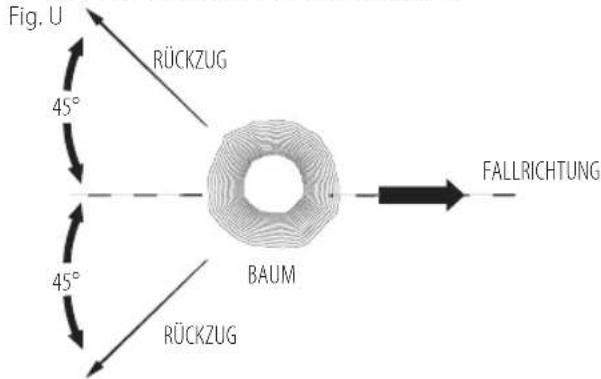 DEWALT DCM565 - Fällen - 1