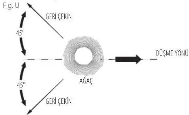 DEWALT DCM565 - Aagcdevirme - 1