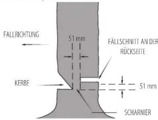 DEWALT DCM565 - Fällen - 2