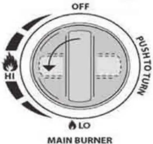 Patton BBQ Sunny 2+Burner - PATTON - 2