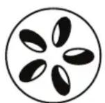 Patton Kamado 16” Table Chef - Cuisson lente / fumaison (110 °C - 135 °C) Évent supérieur Évent inférieur - 1