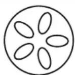 Patton Kamado 16” Table Chef - Saisir (260^ - 370^) Event supérieur Event inférieur - 1