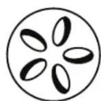 Patton Kamado 16” Table Chef - Grill / Roast (160^ - 180^) Top vent Bottom vent - 1