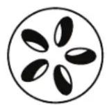 Patton Kamado 16” Table Chef - Langzaam bakken / roken (110°C-135°C) Luchtgat boven Luchtgat beneden - 1