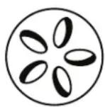 Patton Kamado 16” Table Chef - Griller /rotir (160 °C - 180 °C) Évent supérieur Évent inférieur - 1