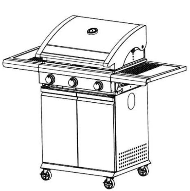 Patton Patio Chef - SE IL BBQ NON FUNZIONA CORRETTAMENTE - 1