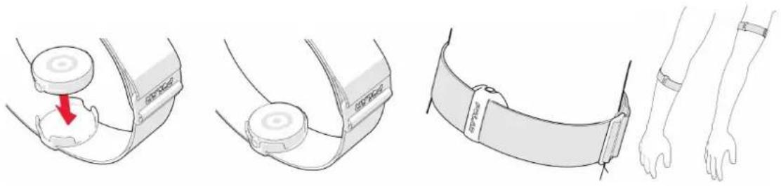 POLAR OH1 - METTRE EN PLACE VOTRE OH1 EN CASDE MESURE DE LAFRÉQUENCE CARDIAQUE SUR L'AVANT-BRASOU LA PARTIE SUPÉRIEURE DE VOTRE BRAS - 1
