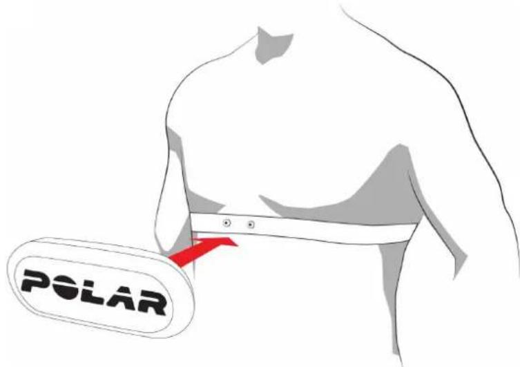 POLAR H10 - METTRE L'ÉMETTEUR DE FREQUENCY CARDIAQUE EN PLACE - 2