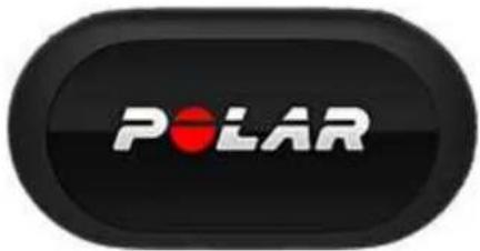 POLAR H10 - COMPOSANTS DE L'ÉMETTEUR DE FREQUENCY CARDIAQUE - 2
