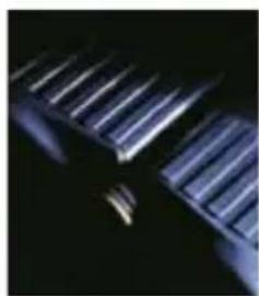 Steiner Champ 8x22 - Capuchons - 1