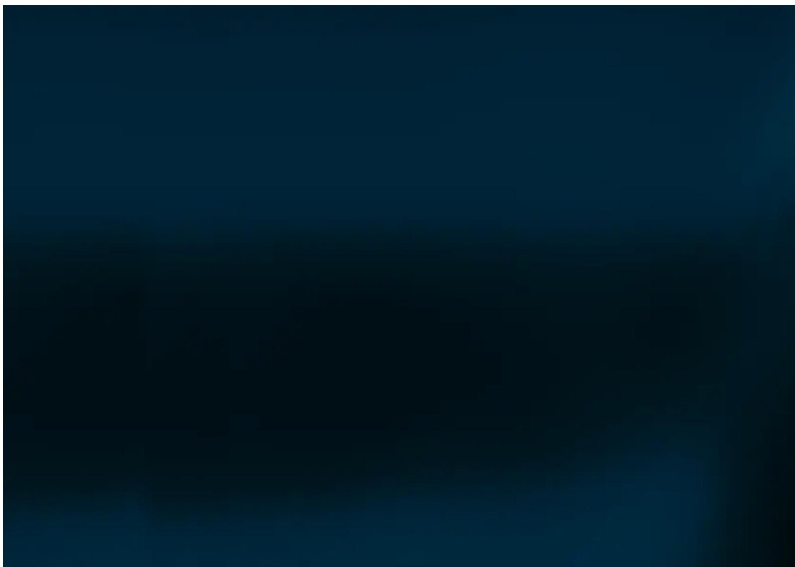 Steiner Navigator Pro 7x30 - a 30-year warranty: - 3