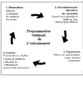DKN XMotion - Evaluación de su condición física - 1