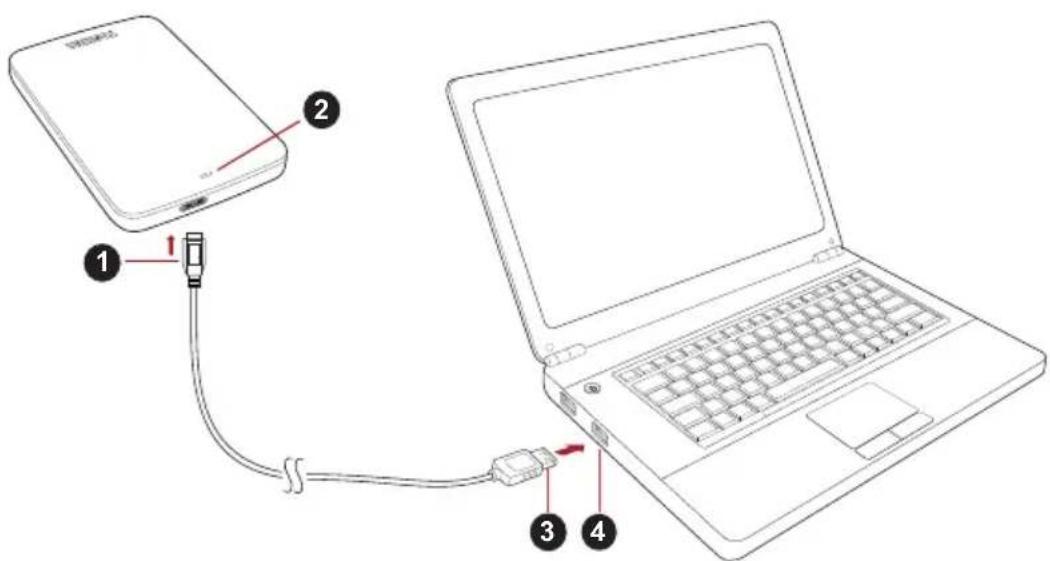 TOSHIBA Canvio Basics Exclusive - Připojeni Jednotky k počitači - 1