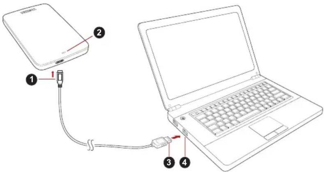TOSHIBA Canvio Basics Exclusive - Ansluta encheten till datorn - 1