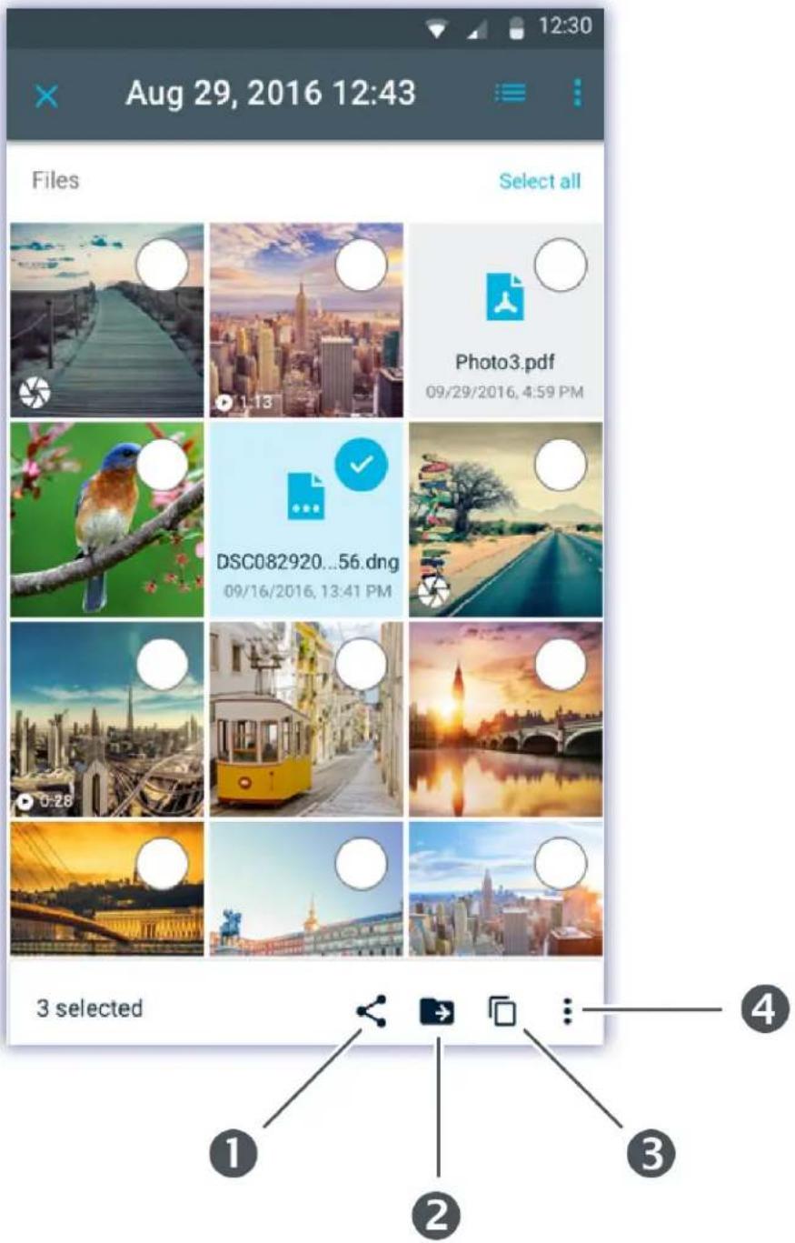 LACIE DJI Copilot - Menus et options - 2