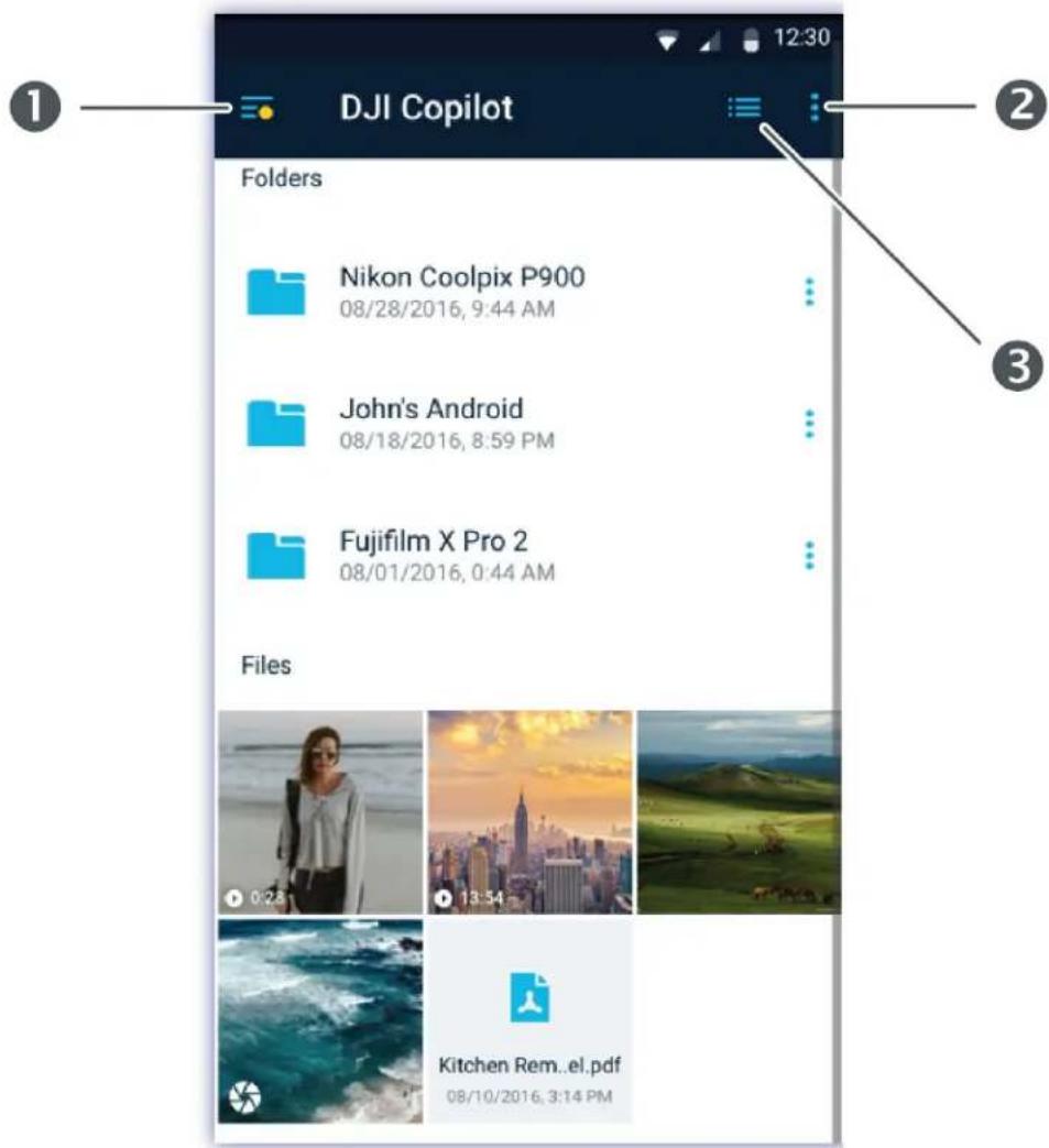 LACIE DJI Copilot - Menus et options - 1