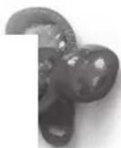 CROCK POT Express CSC051X - STEAMING CHART - 3