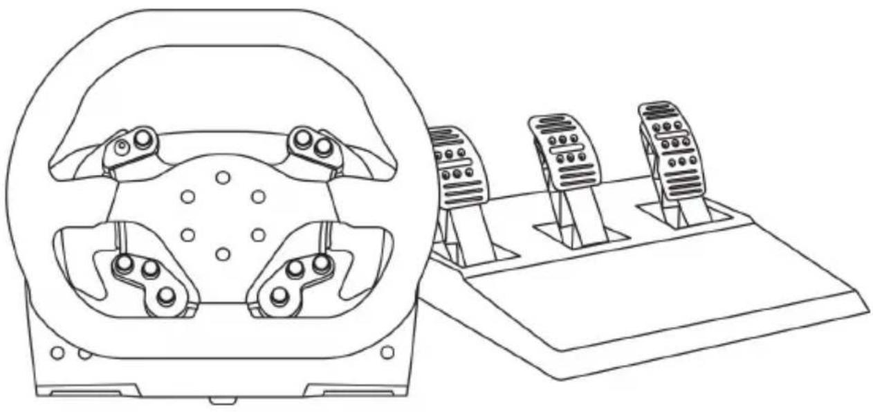THRUSTMASTER TSXW Racer met Sparco P310 Competition - 1