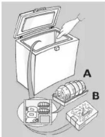 INDESIT OS A2+ 200 H2 - Congélation d'aliments frais - 1