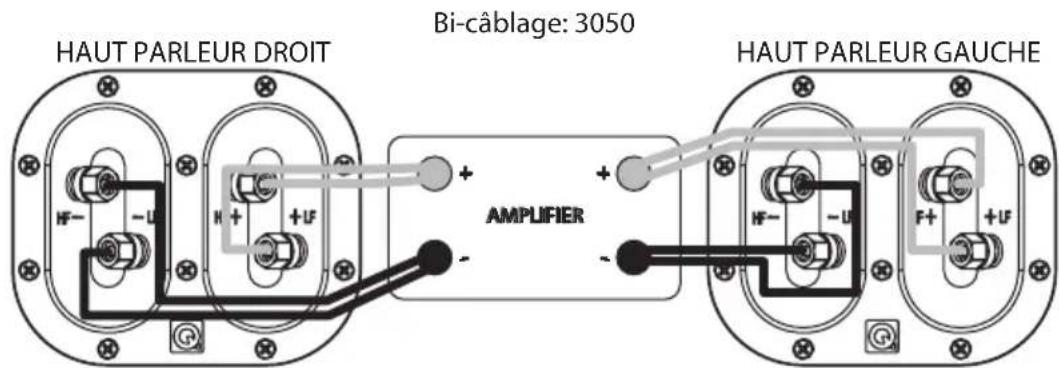 Q-ACOUSTICS 3070S - Connexions standard - 3