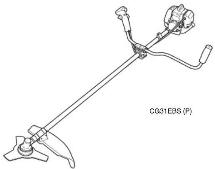 HITACHI CG31EBS(P)(LA) - CG 31EBS (P)/CG 31EBS (LP) - 1
