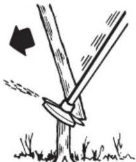 MCCULLOCH B40 B Elite - Kleine bomen vellen met een zaagblad - 4