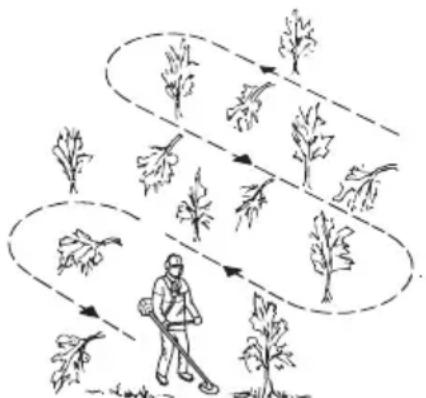 MCCULLOCH B40 B Elite - L'ABC per il taglio della vegetazione - 5