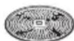 BOSCH StartLine MUM54A00 - Reibscheibe – mittelfein - 1