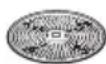 BOSCH StartLine MUM54A00 - Riveskive – middelfin - 1
