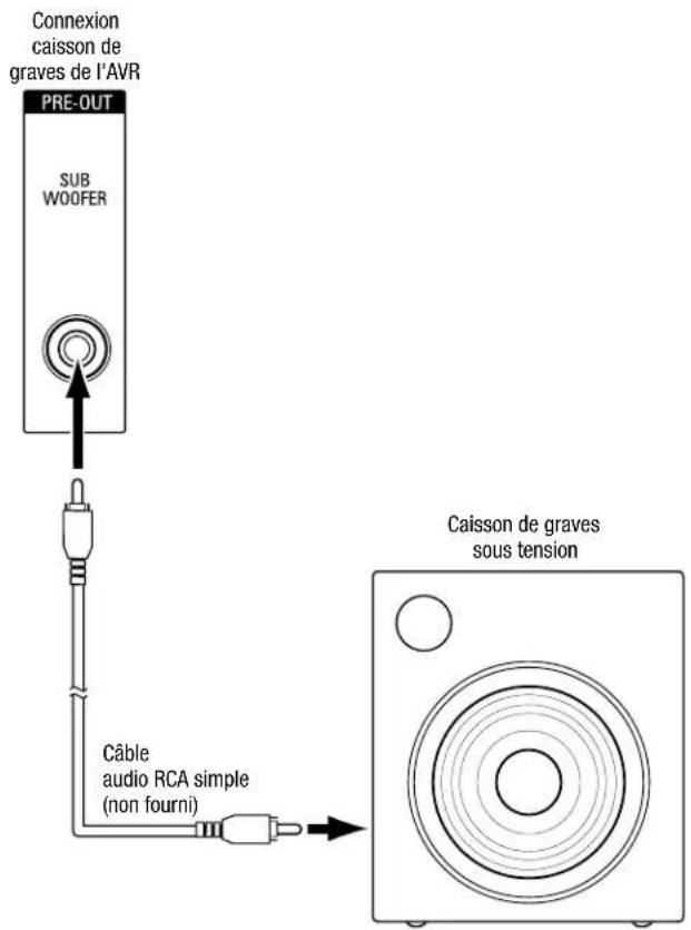 HARMAN KARDON HD COM 1515S - Raccordement de votre caisson de graves - 1