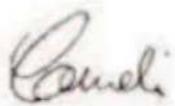 MCCULLOCH CSE2040 - BoBpempa6oTb1(pnc.1) - 1