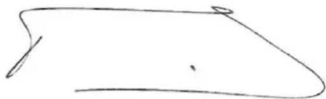 PowerPlus POWXG1032 - DECLARATIA DE CONFORMITATE - 2