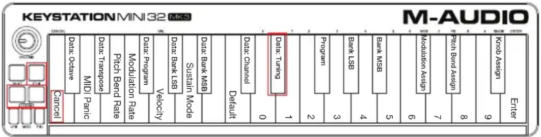 M-AUDIO Keystation Mini 32 MK3 - Tuning - 1