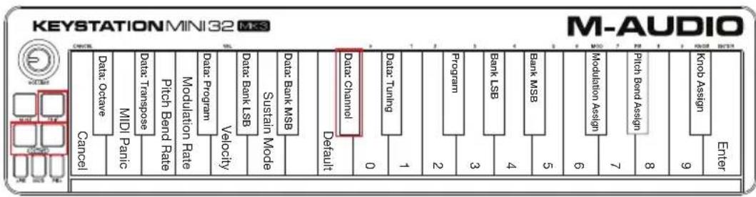M-AUDIO Keystation Mini 32 MK3 - Channel - 1