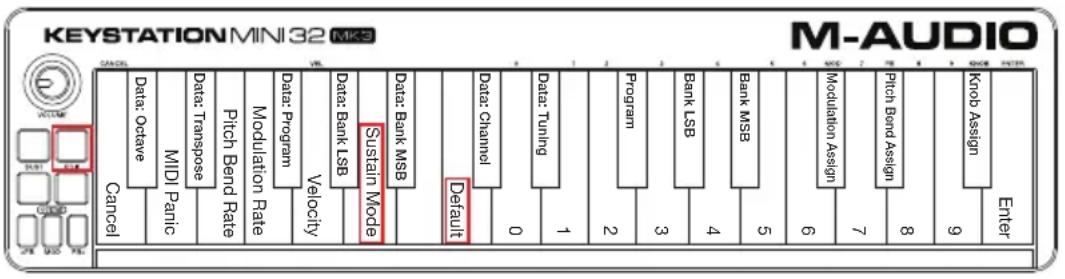M-AUDIO Keystation Mini 32 MK3 - Sustain-Modus - 1